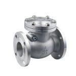 Check Valve